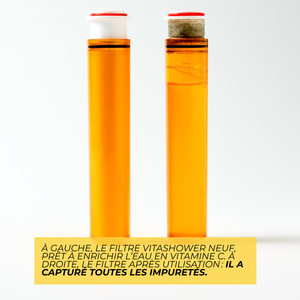 Kit complet Vitashower